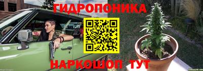 гидра Бузулук