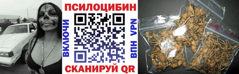 Галлюциногенные грибы GOLDEN TEACHER  Елабуга 