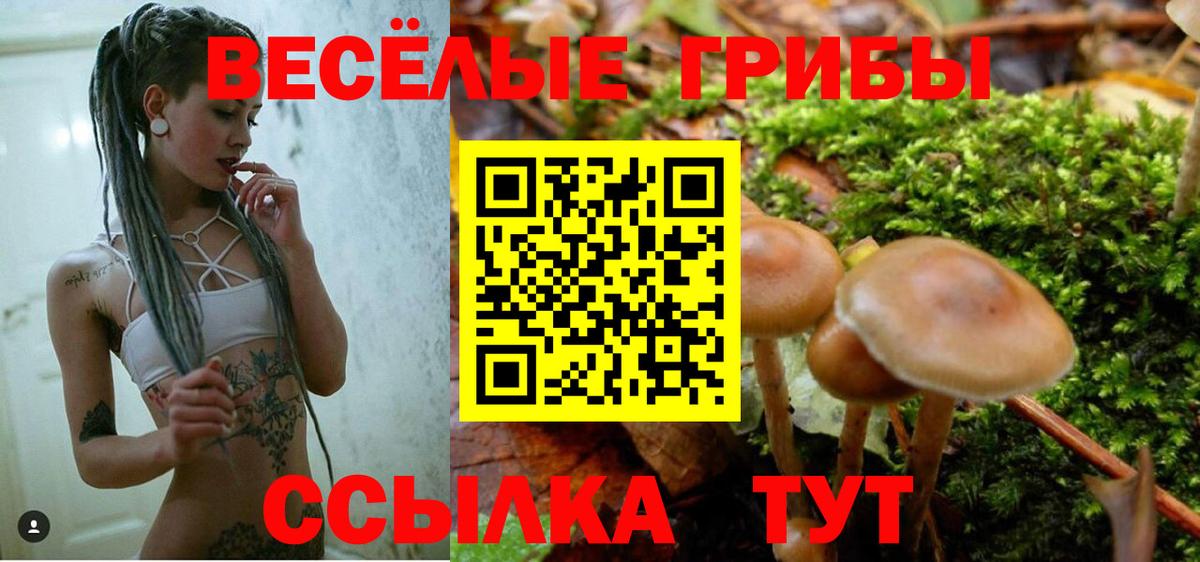 Галлюциногенные грибы прущие грибы Елабуга