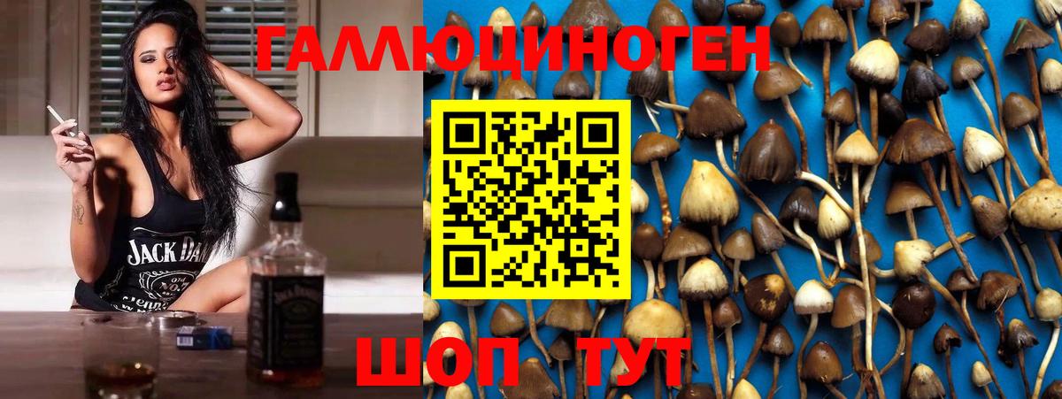 Галлюциногенные грибы MAGIC MUSHROOMS  Вход с VPN  Елабуга 